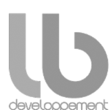 LB Developpement logo gris